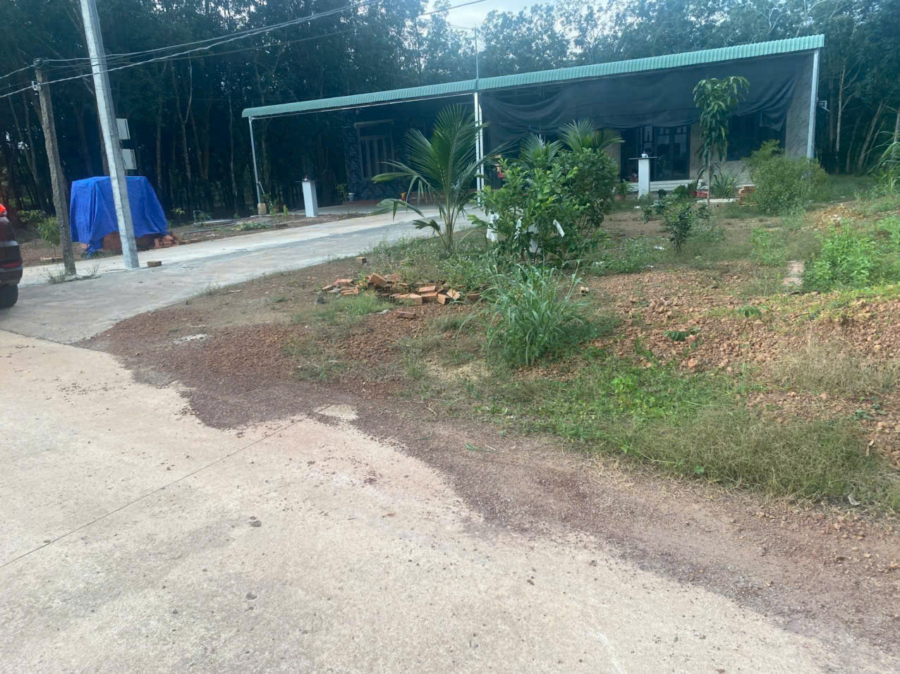 CẦN BÁN GẤP LÔ ĐẤT ĐỐI DIỆN NHÀ DÂN – GIÁ NGỘP CHỈ 590 TRIỆU - Ảnh 1